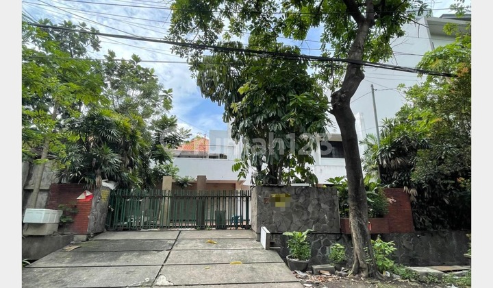 Rumah Murah di Pusat Kota Jl Progo, Dekat Taman Bungkul Surabaya Rumah Murah di Pusat Kota Jl Progo, Dekat Taman Bungkul Surabaya