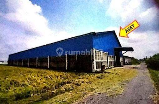 Gudang Murah Harga Terjangkau Dijamin Gak Rugi Dijual Kembali 1