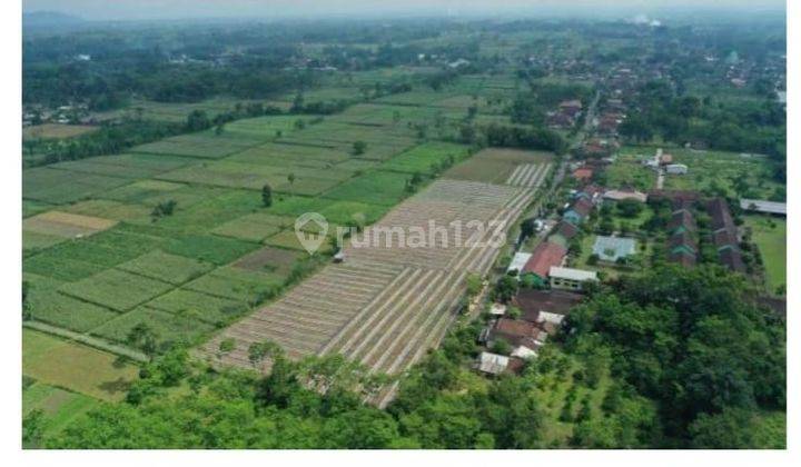 Tanah di Tempeh Lumajang 2