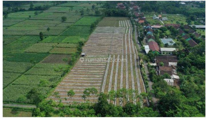 Tanah di Tempeh Lumajang 1