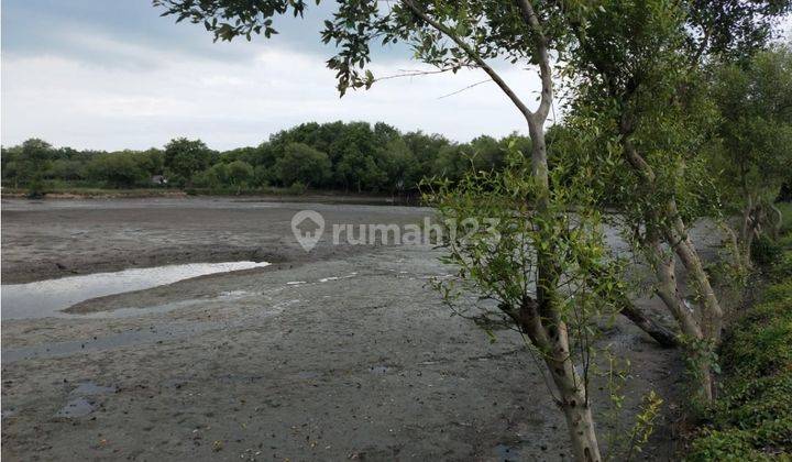 Tanah Plot Perumahan di Gunung Anyar Surabaya 1