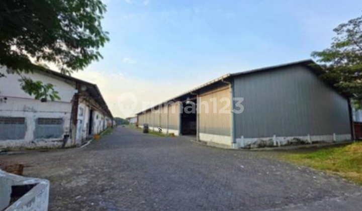 Gudang Ex Pabrik Sangat Murah Raya Driyorejo - Gresik - Jatim