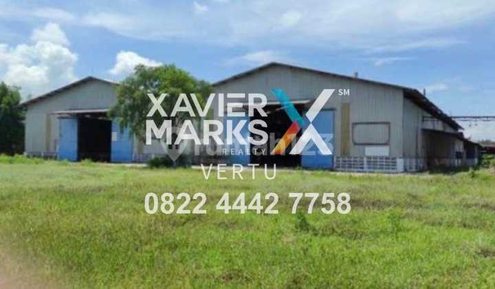 Eks Pabrik, Bagus, Luas & Strategis, Dolopo Madiun