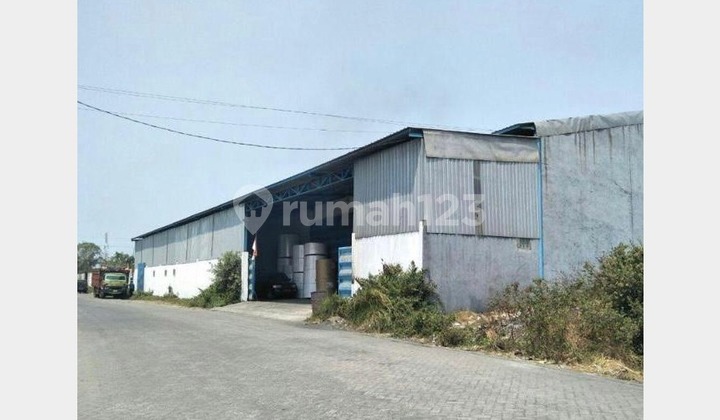 Gudang Murah di Kalianak, Strategis di Surabaya Gudang Murah di Kalianak, Strategis di Surabaya