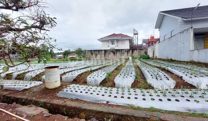 Price Drop! Cool Location Land Plots in Graha Puspa Lembang