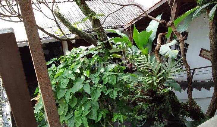 Ruang Usaha Tengah Kota di Padjajaran Bandung 10