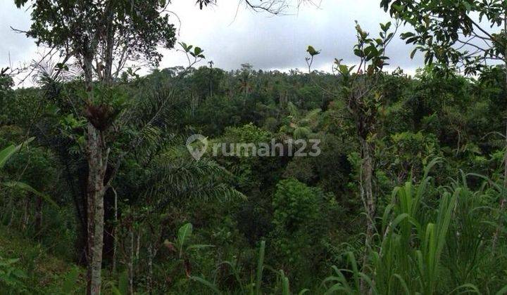 Dijual Tanah Dengan View Samping Ngarai di Ubud Gianyar Bali 2