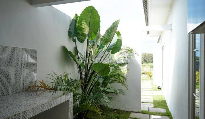 Rumah Murah Serasa di Villa Tanpa Dp Tanpa Biaya Sudah Shm 7