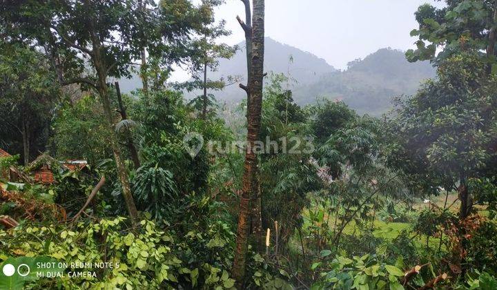 Tanah Cocok Untuk Villa Dan Cafe Dengan View Gunung Pancar Dan Sawah 2