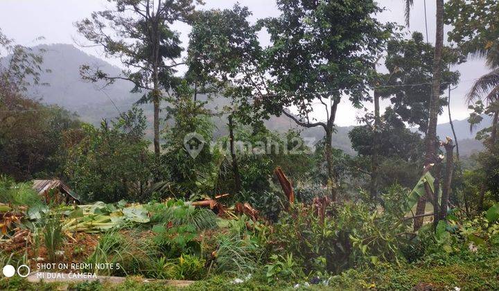 Tanah Cocok Untuk Villa Dan Cafe Dengan View Gunung Pancar Dan Sawah 1