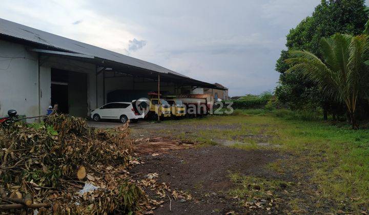 Gudang Sewa Lahan Luas di Tegal Besar Jember 1