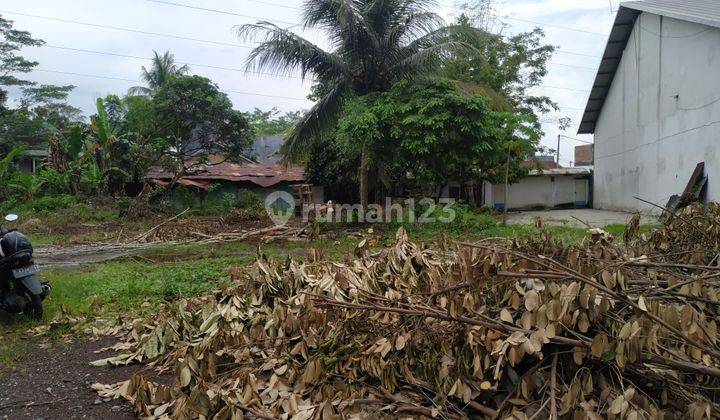Gudang Sewa Lahan Luas di Tegal Besar Jember 4