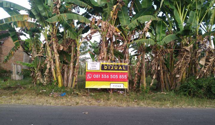 Tanah Murah Dekat Kota Jarang Ada Cocok Buat Usaha 1