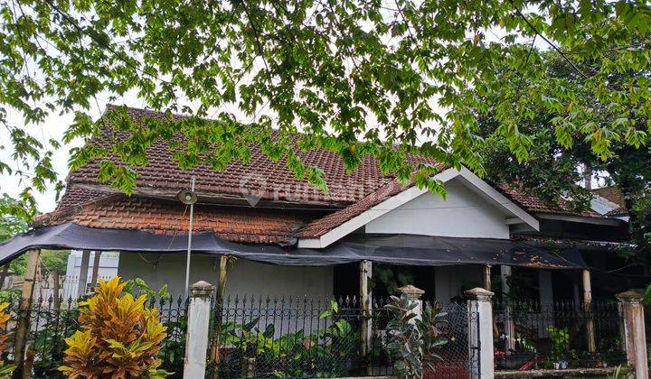 Dijual rumah klasik masuk gang di patrang (sw)  2