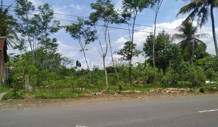 Tanah Potensi Untuk Gudang Di Pakusari 1