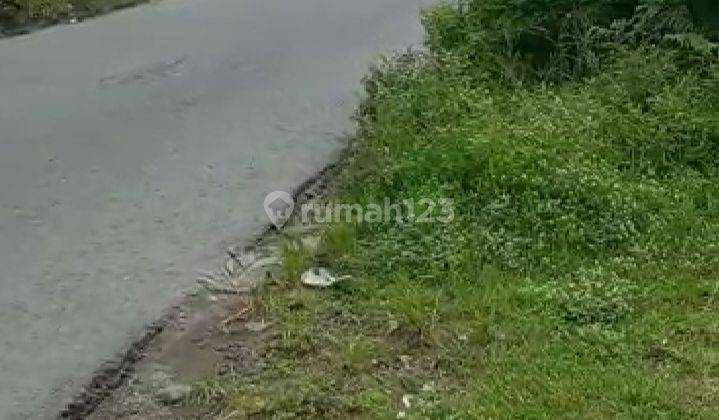 Tanah Luas Strategis Jalan Imogiri Timur Dekat Terminal Giwangan 1