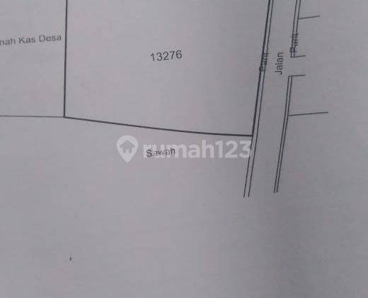 Samping Jogja City Mall Tanah Murah Jalan Magelang Kawasan Usaha 2