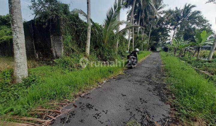 Tanah Sawah Murah Pakem SHM 1 Jutaan Utara Uii Bagus Investasi 2