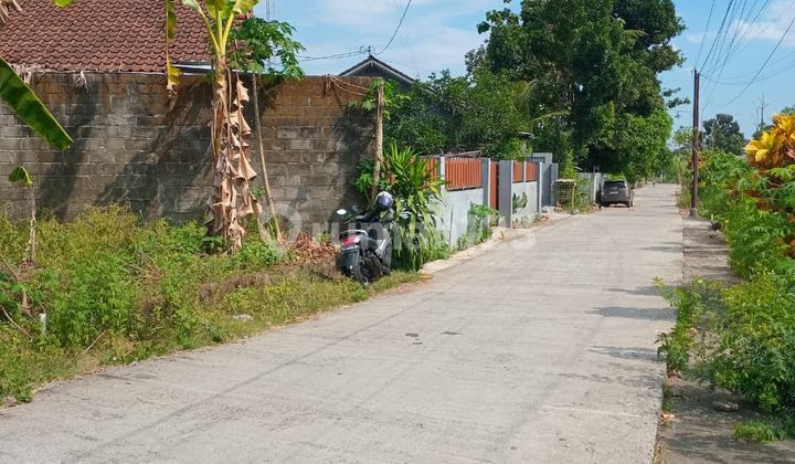 Tanah Murah Dekat Budi Mulia Area Jalan Raya Tajem Wedomartani Tanah Murah Dekat Budi Mulia Area Jalan Raya Tajem Wedomartani