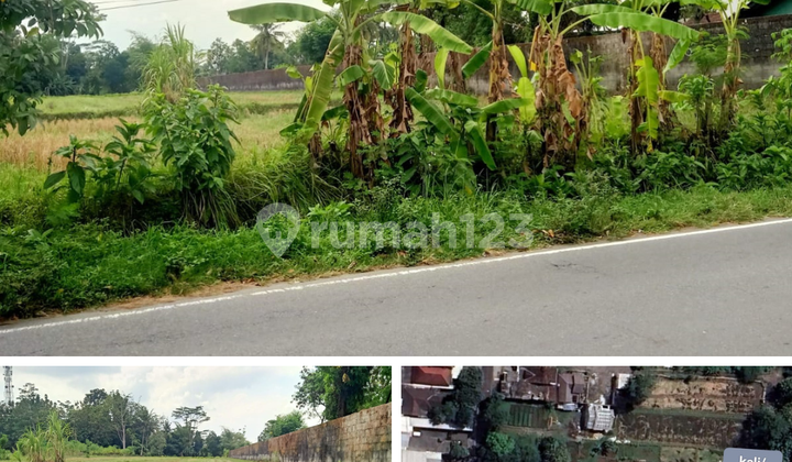 Tanah Strategis Area Jalan Gito Gati Dekat Sch Mall Denggung Tanah Strategis Area Jalan Gito Gati Dekat Sch Mall Denggung