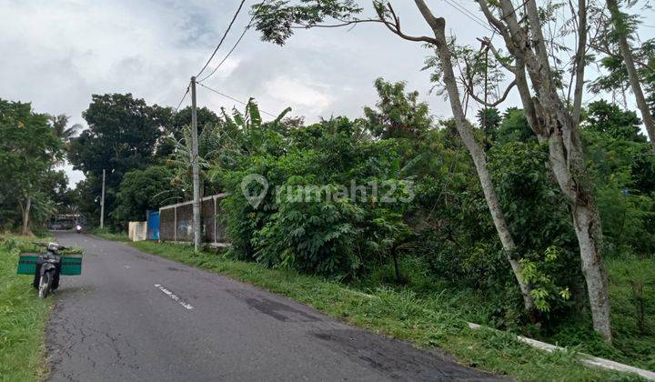 Mangku Aspal Tanah Murah Timur Pasar Gentan Bale Merapi 2 Jutaan  1