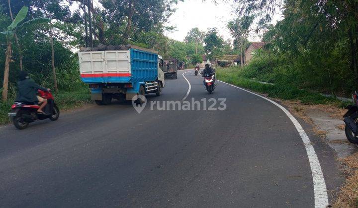 Tanah Murah Pinggir Jalan 1 Jt an Dekat Jalan Selomartani Kalasan 2