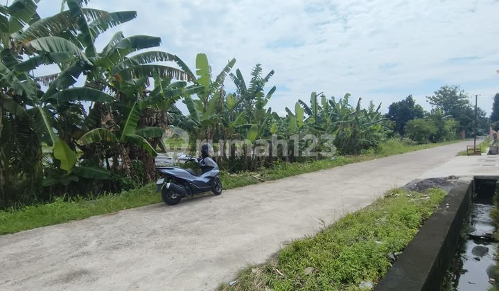Tanah Murah Sekitar Stadion Maguwoharjo SHM Luas Ideal Kavling