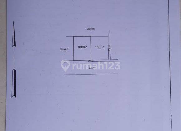 Tanah Pekarangan Luasan Kecil Mangku Aspal Strategis Jalan Tajem 2