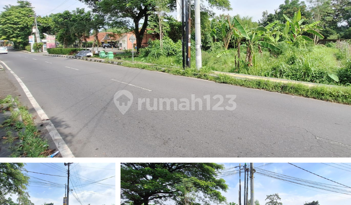 Dijual Tanah Jalan Magelang Samping Pringsewu Resto Dekat Sch Dijual Tanah Jalan Magelang Samping Pringsewu Resto Dekat Sch