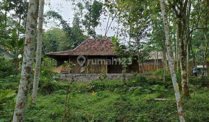 Cocok Villa Tanah Murah Pakem 600 Ribuan SHM Dekat Wisata Merapi  2