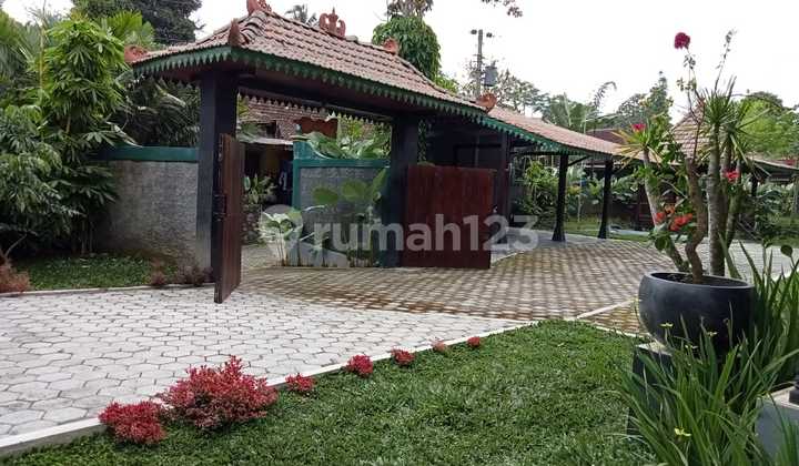 Dijual Rumah Joglo Turi Sleman Lingkungan Asri Luas Nyaman Huni 2