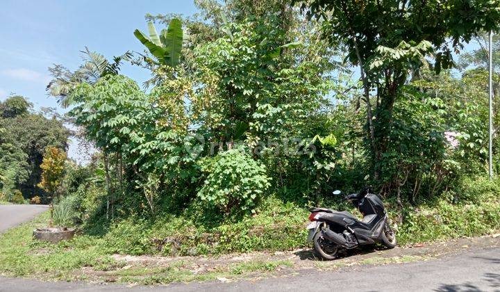 Mangku Aspal Pinggir Jalan Tanah Murah Turi Dekat Hpaic Merapi  2