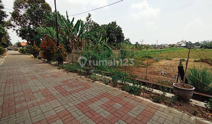 Tanah Sawah Murah Utara Stadion Maguwo Dekat Sd Model Blotan  1