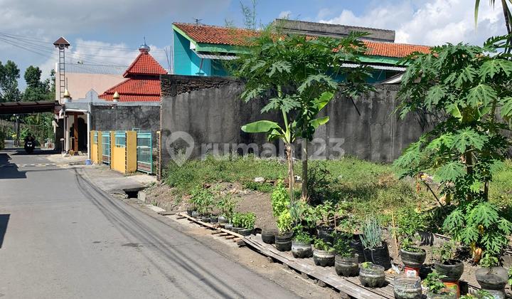Tanah Pekarangan Murah Dekat Kampus Sanata Dharma Maguwoharjo