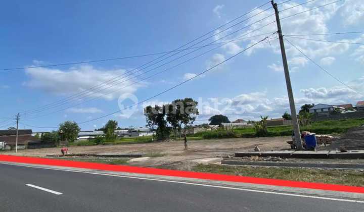 Tanah Murah Tirtomartani SHM 2500 M2 Pinggir Jalan Raya Lpmp Tanah Murah Tirtomartani SHM 2500 M2 Pinggir Jalan Raya Lpmp