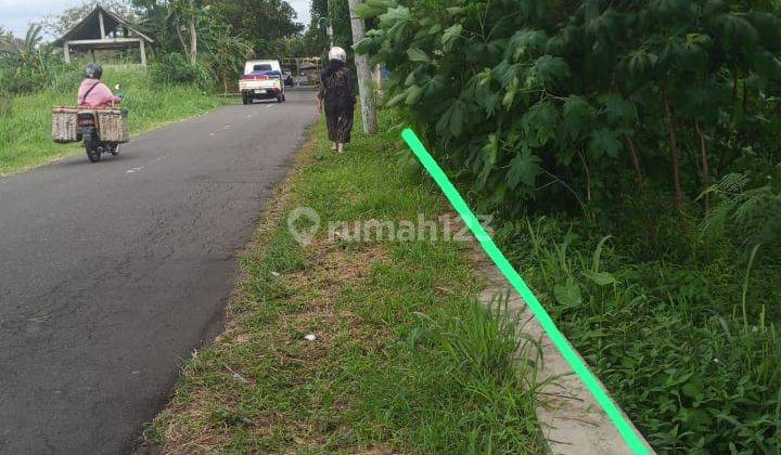 Mangku Aspal Tanah Murah Timur Pasar Gentan Bale Merapi 2 Jutaan  2