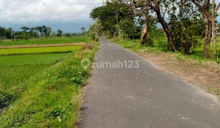 Dekat Candi Prambanan Tanah Murah SHM 700 Ribuan Bagus Investasi 1