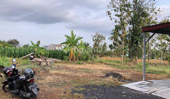 Tanah SHM Murah View Sawah Delat Pasar Gentan Jalan Kaliurang 2