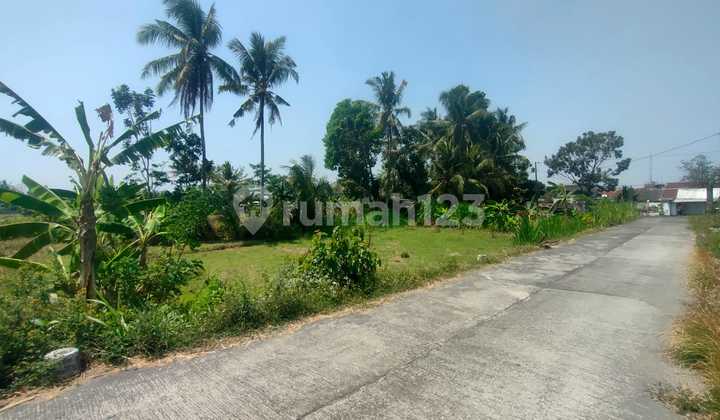 Affordable Land 2 Million Good Investment Near Pasar Rejodani Palagan