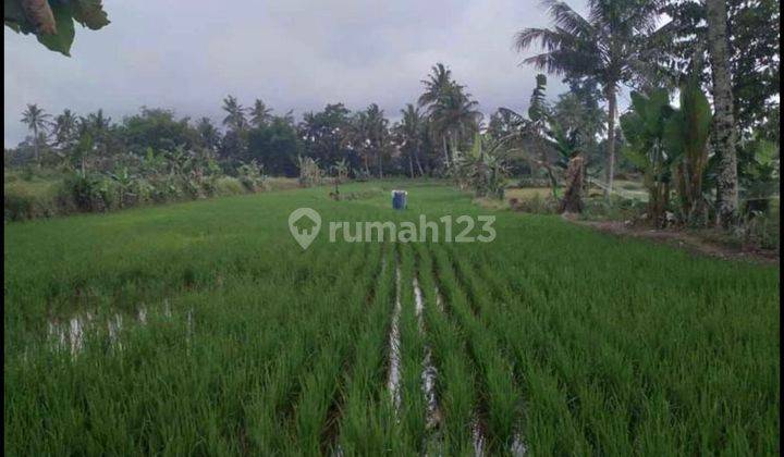 Utara Uii Dekat Rs Panti Nugroho Pakem Tanah SHM Murah 1 Jutaan  2