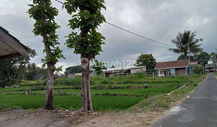 Dekat Kopi Klotok Jalan Kaliurang Pakem Tanah Murah 1 Jutaan 