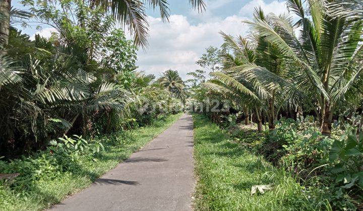 SHM Bagus Investasi Tanah Murah Strategis Jalan Pakem Turi Sleman 1