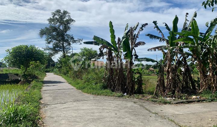 Good Investment Cheap Land on Tajem Street Near Budi Mulia School