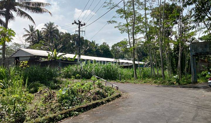 Lokasi Strategis Jalan Turgo Tanah Pakem Murah 250 Juta Hook 2