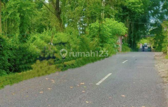 SHM Pekarangan Murah 3 Juta Hook Jalan Kaliurang Km 14 Uii Dekat 1