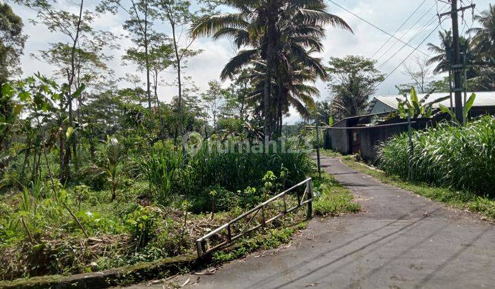 Strategis Mangku Aspal Tanah Murah Pakem Hook Dekat Jalan Turgo 1