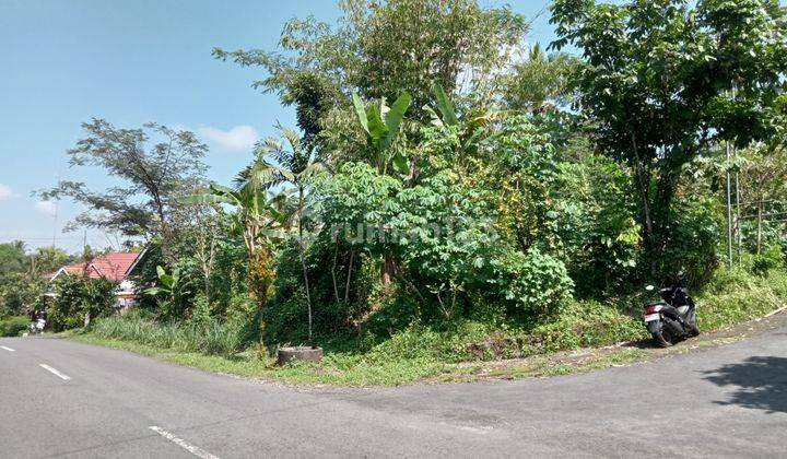 Tanah Murah 1 Jt an Mangku Aspal SHM Turi Dekat HPAIC Merapi  1