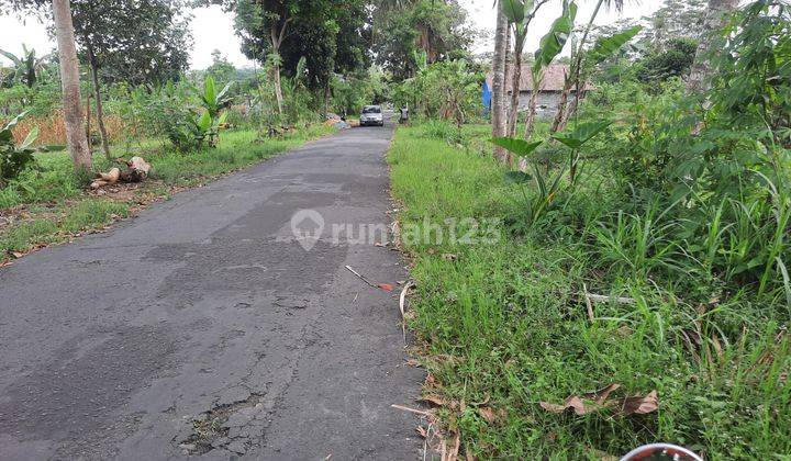 Tanah Sawah Murah Timur Jalan Palagan Dekat Dja Va Golf SHM  1