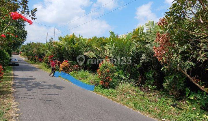 Tanah Murah Pinggir Jalan Agrowisata Sleman Turi Bagus Investasi 2