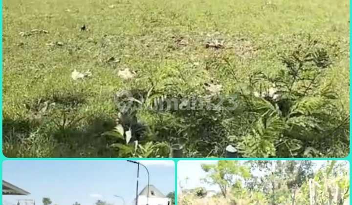 Lokasi Premium Tanah Area Perum Casa Grande Maguwoharjo Depok Lokasi Premium Tanah Area Perum Casa Grande Maguwoharjo Depok